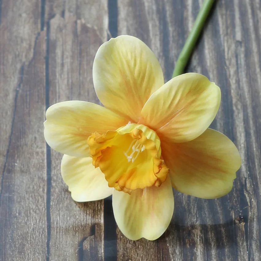 20PCS Artificial Daffodil Flowers – Real Touch Spring Blooms